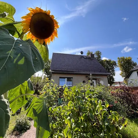 Сasa de vacaciones Feriendomizil Elina In Seenaehe *