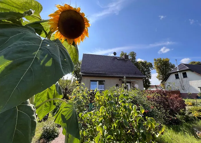 Hébergement de vacances Feriendomizil Elina In Seenaehe *