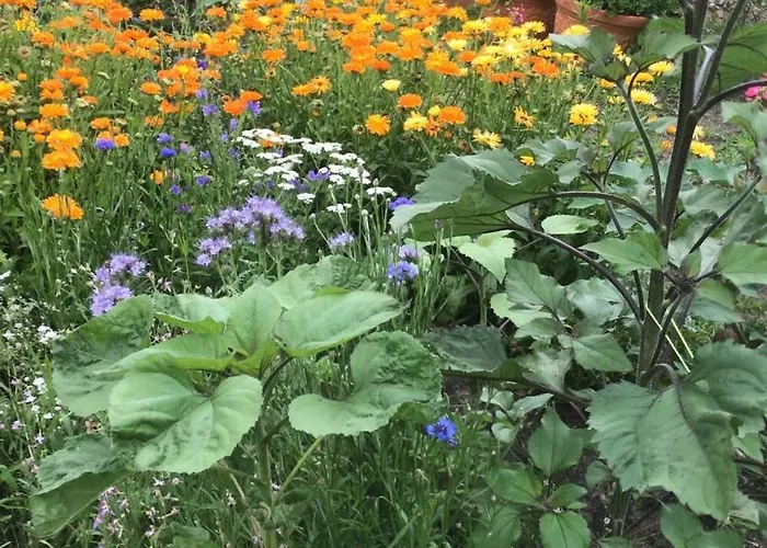 Feriendomizil Elina In Seenaehe * Lindow